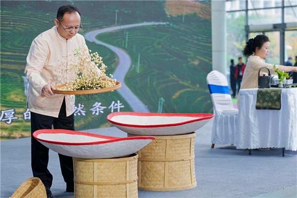 2025103113531667.004