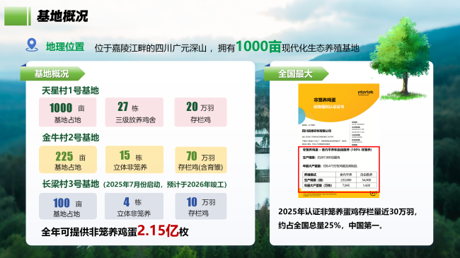 五年扩产近30倍！信德农牧登顶中国非笼养蛋鸡存栏量第一