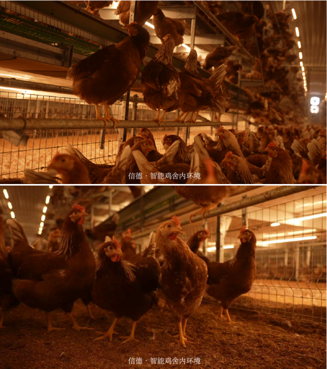 2025111815043467605238