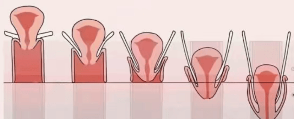 密太医是正规产品吗 密太医多少钱一盒
