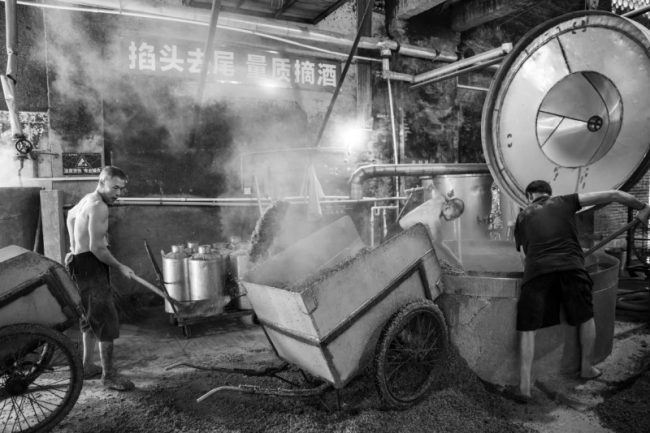 20260323134840959912561